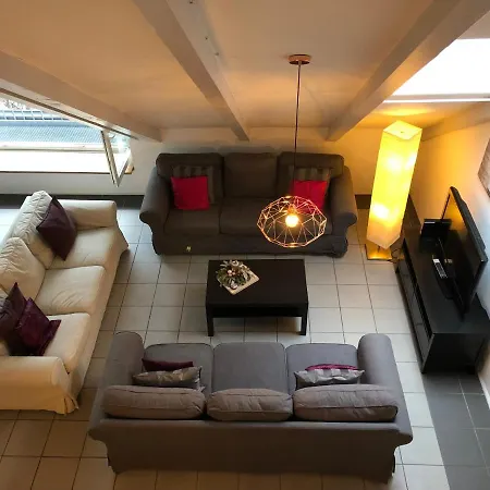 Wunderschone Galeriewohnung Im Herzen Regensburgs レーゲンスブルク